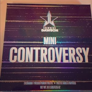 Mini Controversy Palette NEVER USED